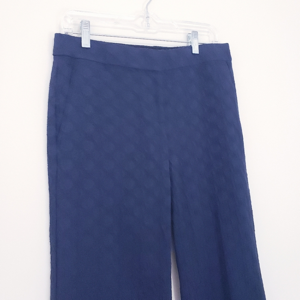 Ann Taylor The Cotton Crop Pants Eyelet In Navy Blue Night Sky Size 2 Dot - Picture 5 of 8